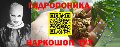 прущие крисы Комсомольск-на-Амуре