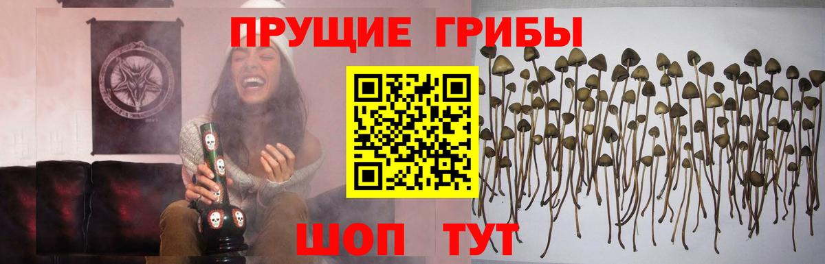 Псилоцибиновые грибы MAGIC MUSHROOMS Киров